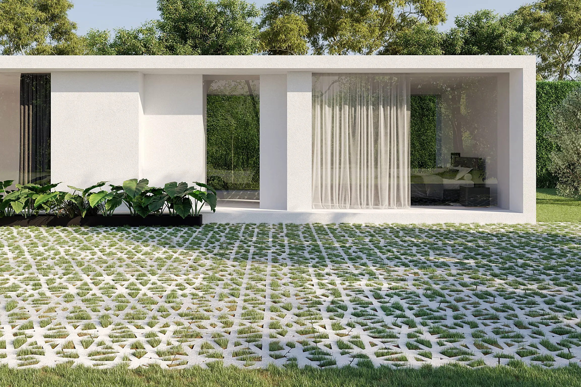 Green Carpet Nest