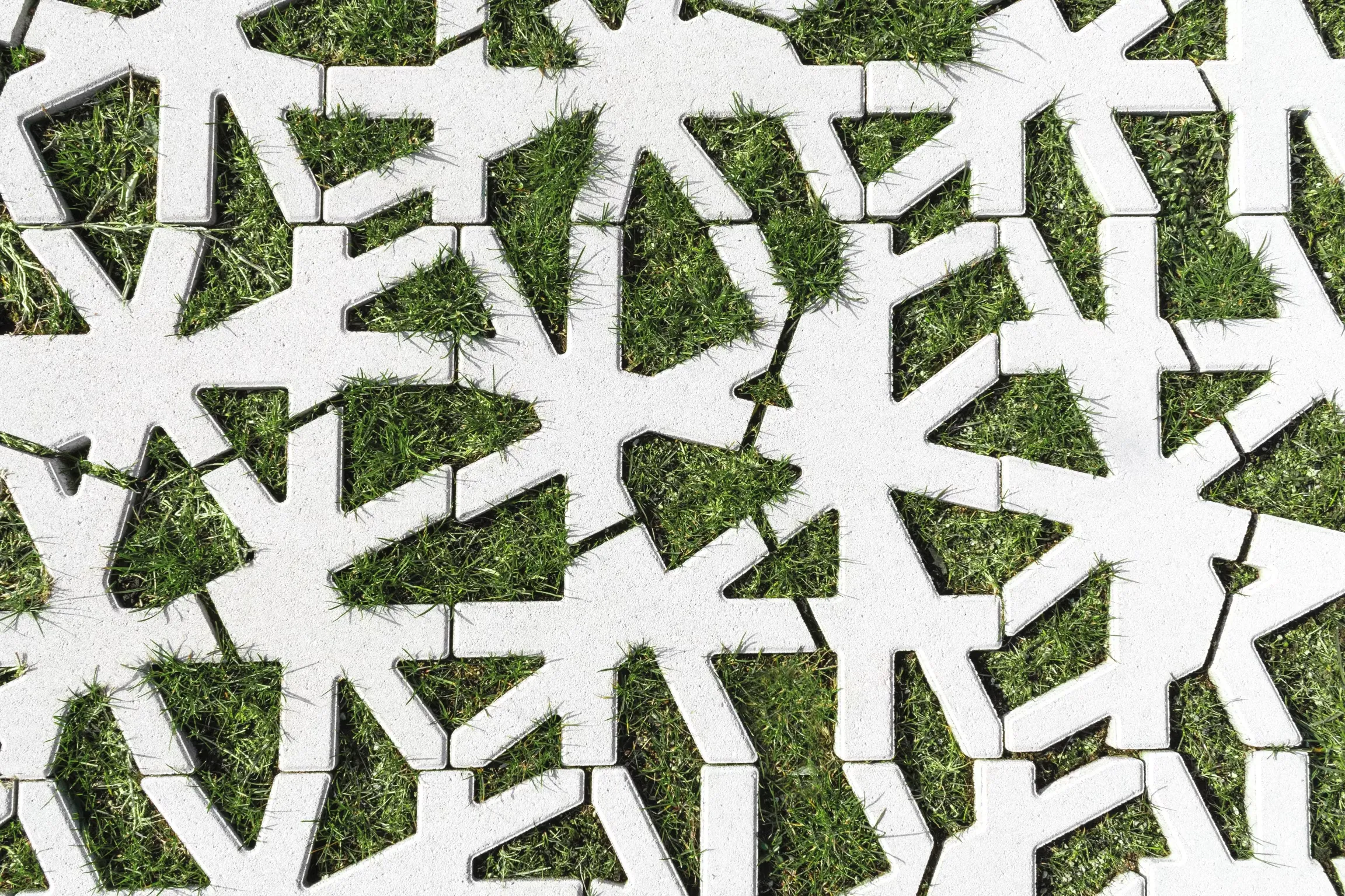 Green Carpet Nest