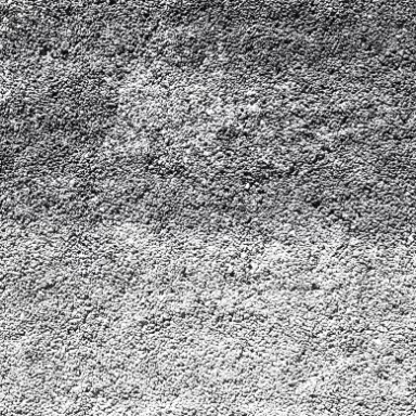Grigio Carnico